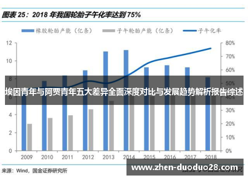 埃因青年与阿贾青年五大差异全面深度对比与发展趋势解析报告综述