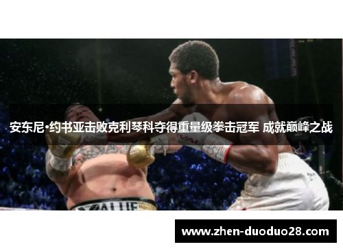 安东尼·约书亚击败克利琴科夺得重量级拳击冠军 成就巅峰之战