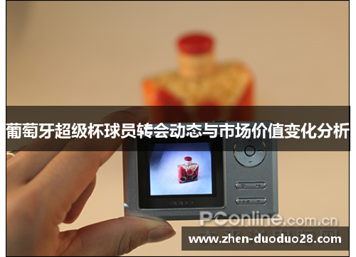 葡萄牙超级杯球员转会动态与市场价值变化分析