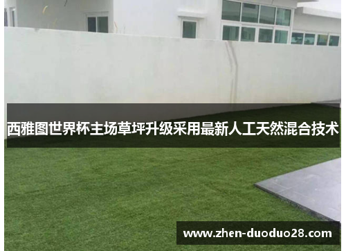 西雅图世界杯主场草坪升级采用最新人工天然混合技术